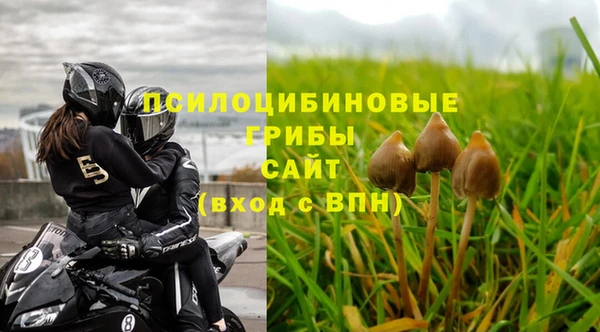 мет Арсеньев