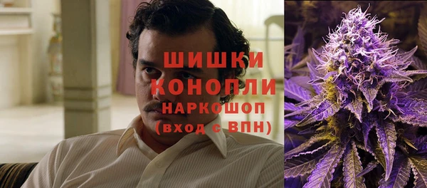 apvp Аркадак