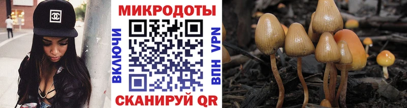 Галлюциногенные грибы Magic Shrooms  Купить закладки  Судогда 